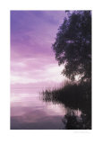 Idyllic Lake III Posters par Gerd Weissing