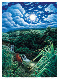 Full Moon over Seven Sacred Pools, Hana, Maui, Hawaii Prints by Hans Olson