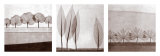 Leaf Landscape Triptych Láminas por Steven N. Meyers Leaf Landscape Triptych Láminas por Steven N. Meyers