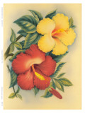 Hawaiian Hibiscus Prints by Eve Hawaii