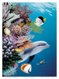 Dolphin’s Reef, Hawaii Posters par Mark Mackay