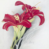 Day-Lilies I Prints by Franz Heigl
