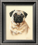 Pug Prints by Judy Gibson