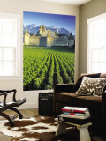 Chillon Chateau, Switzerland Wall Mural by Peter Adams