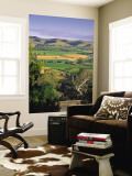 Vineyards, Barossa Valley, South Australia, Australia Reproduction murale géante par Doug Pearson