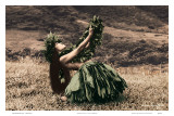 Offering to Pele, Hawaiian Hula Dancer Posters by Alan Houghton