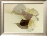 Sauvignon Blanc Prints by Durwood Zedd