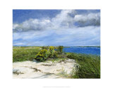 Hemlock Cove Prints by Doug Zider