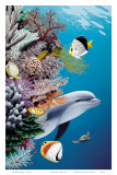 Dolphin’s Reef, Hawaii Art by Mark Mackay