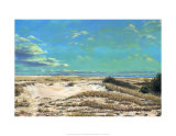 American Sands Print by Doug Zider