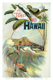Viaje a Hawai Láminas Viaje a Hawai Láminas