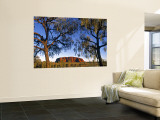 Ayers Rock, Northern Territory, Australia Wall Mural by Doug Pearson