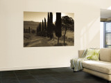 Country Road Towards Pienza, Val D' Orcia, Tuscany, Italy Mural por Doug Pearson Country Road Towards Pienza, Val D' Orcia, Tuscany, Italy Mural por Doug Pearson