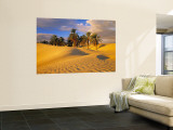 Sand Dunes and Oasis, Desert, Tunisia Wall Mural by Peter Adams