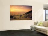 Coaley Peak, Dursley, Cotswolds, England Wall Mural by Peter Adams
