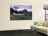 Ranoch Moor, Scotland Reproduction murale géante par Gavin Hellier