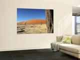 Dead Vlei Salt Pan, Sossusvlei, Namibia Wall Mural by Otto Bathurst