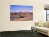 Stovepipe Wells, Death Valley, California, USA Wall Mural by Walter Bibikow