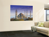 Blue Mosque, Istanbul, Turkey Wall Mural by Peter Adams