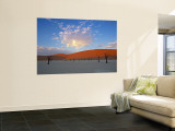 Red dunes and dead acacia tree, Dead Vlei, Namib-Naukluft-Sossusvlei, Namibia Wall Mural by Gavin Hellier