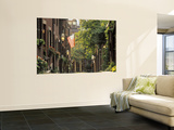 Boston, Massachusetts, USA Wall Mural by Peter Adams