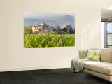 Vineyard and Village, Volpaia, Tuscany, Italy Reproduction murale géante par Peter Adams