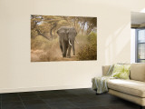 Loxodonta Africana, Lake Manyara National Park, Tanzania Wandgemälde von Ivan Vdovin