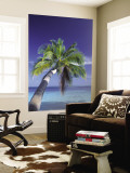 Tropical Beach at Maldives, Indian Ocean Reproduction murale géante par Jon Arnold