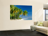 Palm Trees and Tropical Beach, Maldive Islands, Indian Ocean Wandgemälde von Steve Vidler