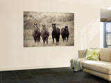 Horses, Montana, USA Wall Mural by Russell Young