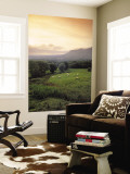 Ben Bulben, Yeats Country, Co. Sligo, Ireland Wall Mural by Doug Pearson