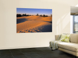 Sahara Desert, Douz,Tunisia Vægplakat af Jon Arnold Sahara Desert, Douz,Tunisia Vægplakat af Jon Arnold