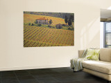 Vineyard, Greve in Chianti, Tuscany, Italy Wall Mural by Walter Bibikow