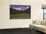 Nanga Parbat, from Fairy Meadows, Diamir District, Pakistan Wall Mural by Michele Falzone
