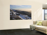 Shouf Cedar Nature Reserve, Lebanon Moutains, Lebanon Wall Mural by Ivan Vdovin