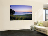 Sea of Galilee, Israel Wall Mural by Jon Arnold