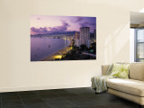 Acapulco, Mexico Wall Mural by Demetrio Carrasco