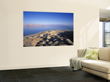 Dead Sea, Israel Wall Mural by Jon Arnold
