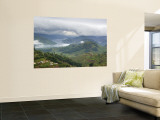 Lake Mburo National Park, Uganda, Africa Wall Mural by Ivan Vdovin