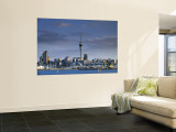Skyline of Auckland, North Island, New Zealand Wall Mural by Doug Pearson