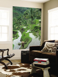 Rice Fields, Central Bali, Indonesia Wall Mural by Peter Adams