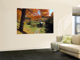 Fall Foliage, Vermont, USA Wall Mural by Gavin Hellier