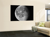 Waning Moon Wall Mural