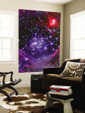 The Arches Star Cluster from Deep Inside the Hub of Our Milky Way Galaxy Wall Mural