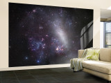 Large Magellanic Cloud Wall Mural – Large