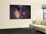Rho Ophiuchi Nebula Wall Mural