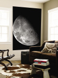 View of the Moon's North Pole Wall Mural