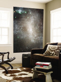 Central Region of the Barred Spiral Galaxy NGC 1313 Wall Mural