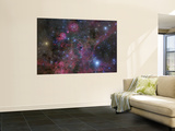 The Vela Supernova Remnant Mural The Vela Supernova Remnant Mural