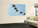 The Blue Angels Wall Mural
